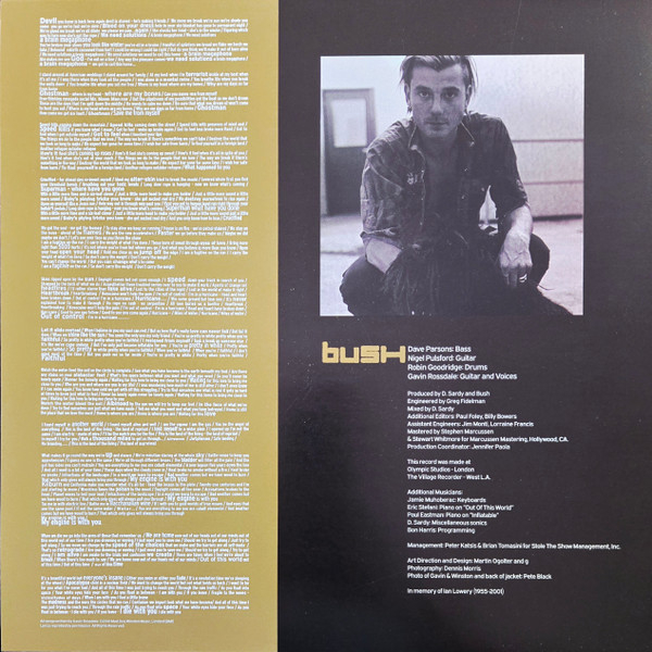 Vinyl Record Bush - Golden State (Rocktober 2024 Translucent Golden edition) LP - img.6