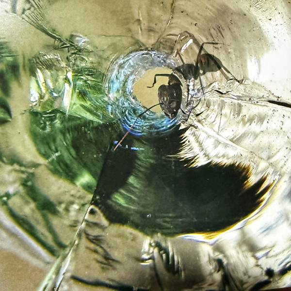 Vinyl Record Dream Theater – Systematic Chaos (Clear) - 2LP - img.12