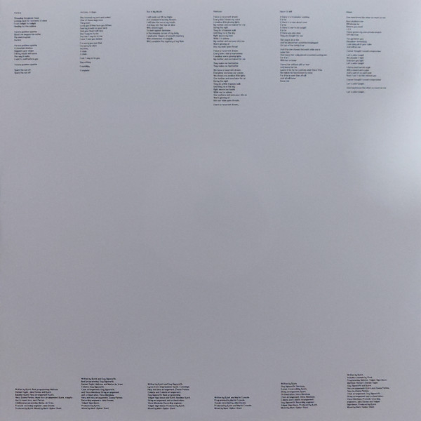 Vinyl Record Bjork – Vespertine - 2LP - img.4