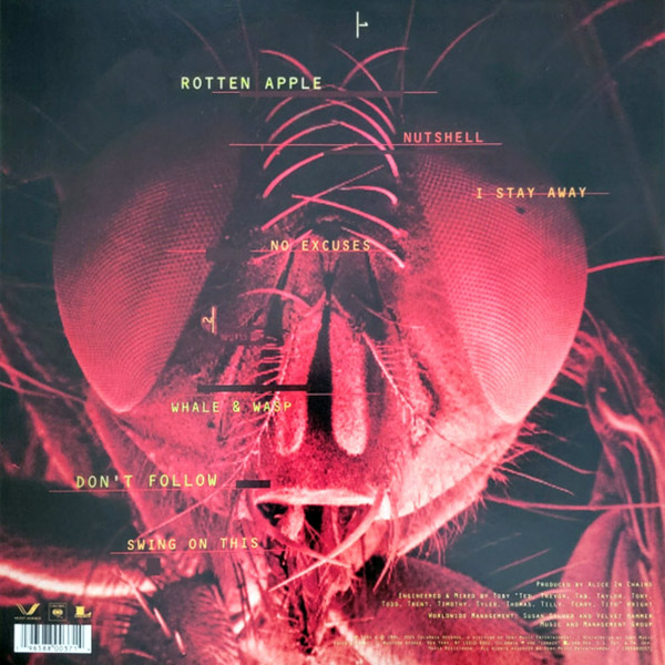 Vinyl Record Alice In Chains - Jar Of Flies (30th Anniversary) LP - img.1