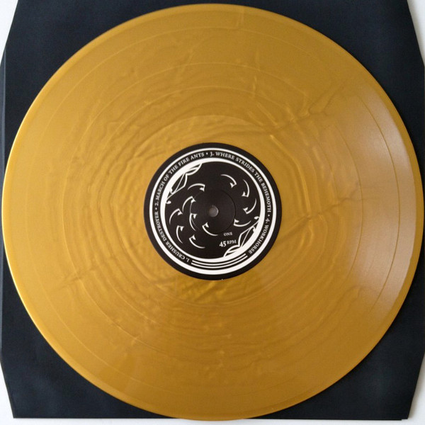 Vinyl Record Mastodon – Remission (Gold Vinyl) - 2LP - img.6