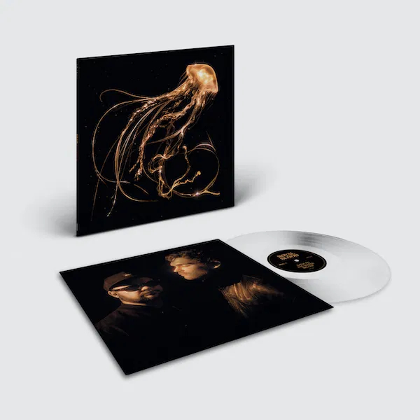 Vinyl Record Royal Blood – Back To The Water Below (Limited Edition, Clear) LP - img.1