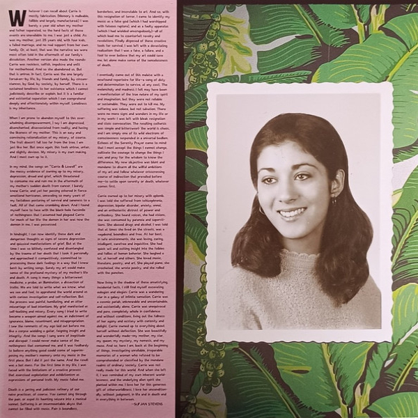 Vinyl Record Sufjan Stevens - Carrie & Lowell - (10th Anniversary Edition, Violet) 2LP - img.12