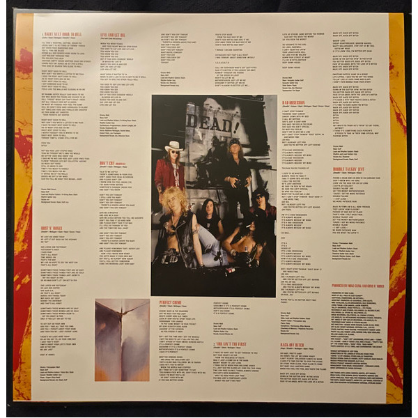 Vinyl Record Guns N Roses - Use Your Illusion I Remastered 2022 LP - img.7