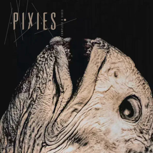 Vinyl Record Pixies - Complete B-Sides: 1988–97 (Remastered) - 2LP - img.0
