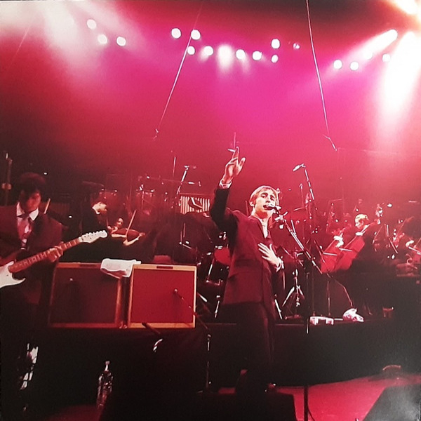 Vinyl Record The Divine Comedy – A Short Album About Love - LP - img.2