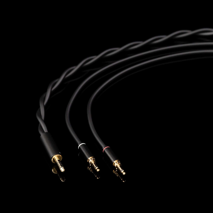 High End headphones Final Audio D8000 DC Black - img.8