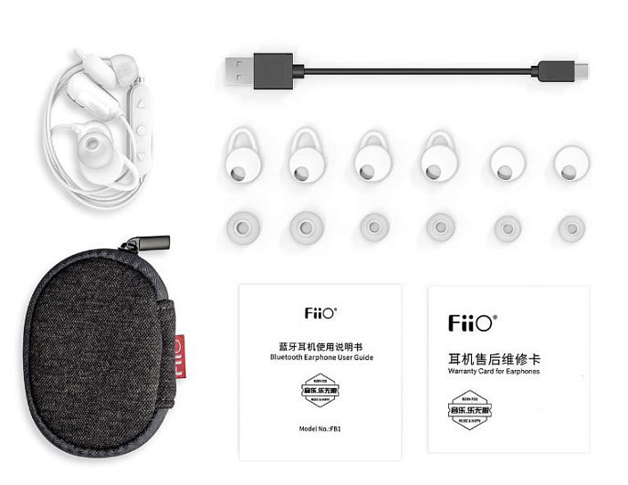 Wireless Headphones FiiO FB1 White - img.11