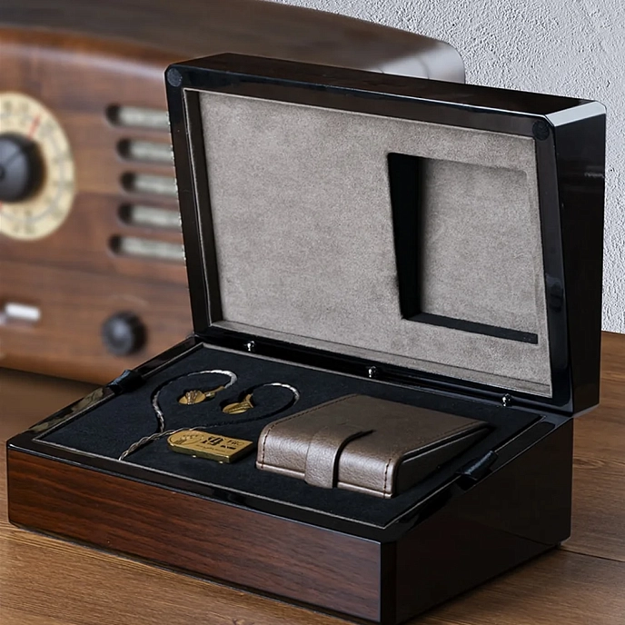 High End headphones FiiO FDX - img.12