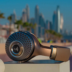 Headphones Focal Clear MG