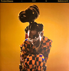 Vinyl Record Little Simz - Sometimes I Might Be Introvert (coloured) - 2LP