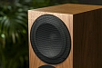 Floorstanding Speakers Amphion Helium520 Walnut - img.9