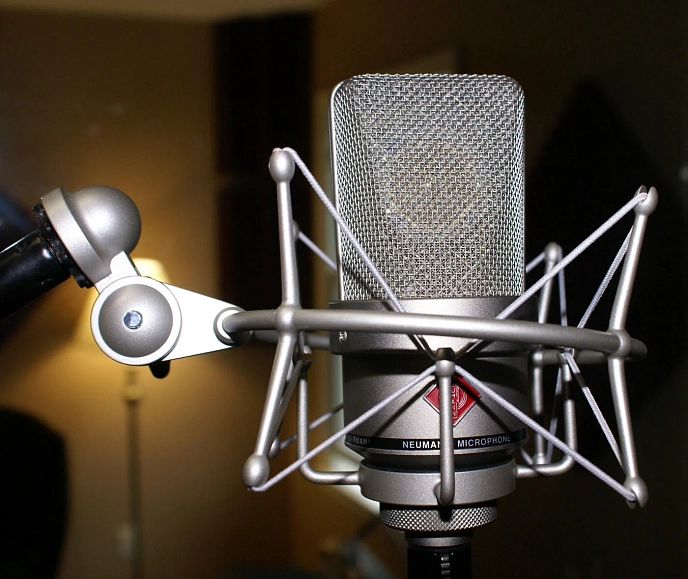 Microphone suspension Neumann EA 1 Nickel - img.6