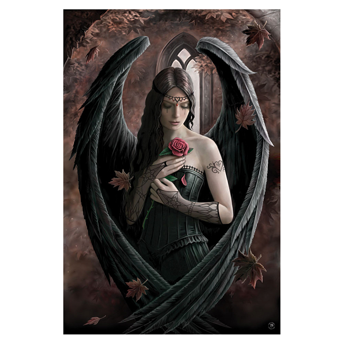 Souvenir Pyramid Anne Stokes Angel Rose (Maxi Poster) - img.0