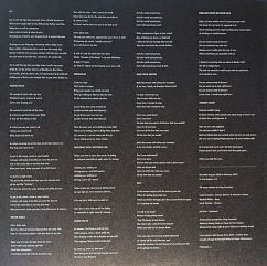 Vinyl Record Cigarettes After Sex – X's LP