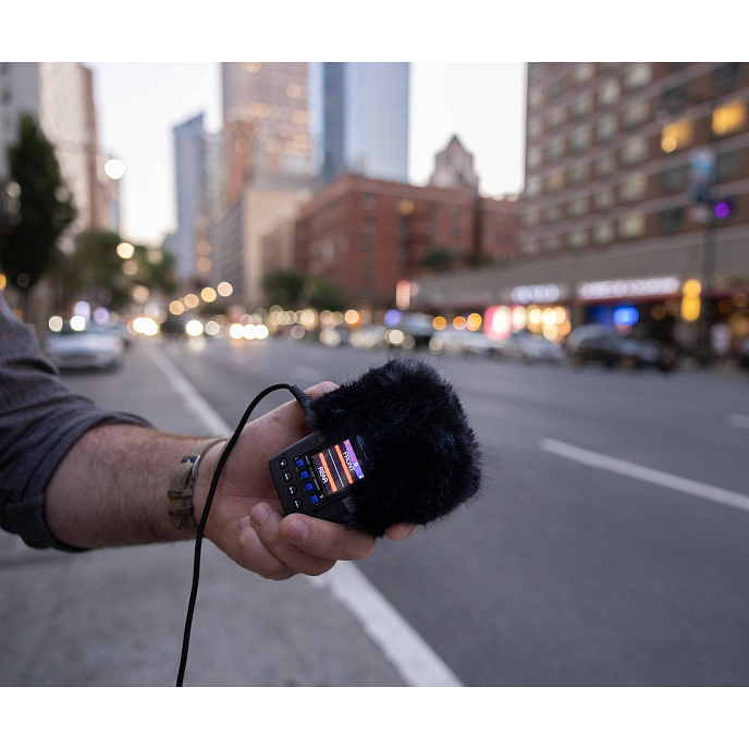 Audio Recorder Zoom H2e - img.11