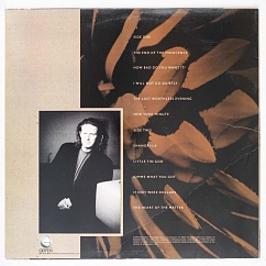 Vinyl Record Don Henley - The End Of The Innocence - 2LP