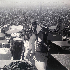 Vinyl Record Fleetwood Mac – Rumours Live - 2LP