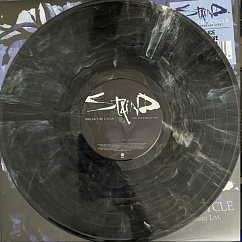 Vinyl Record Staind - Break The Cycle (25th Anniversary Live, Black Ice) LP