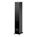 Floorstanding Speakers Pro-Ject Speaker Box 10 E Carbon Satin Black - img.1