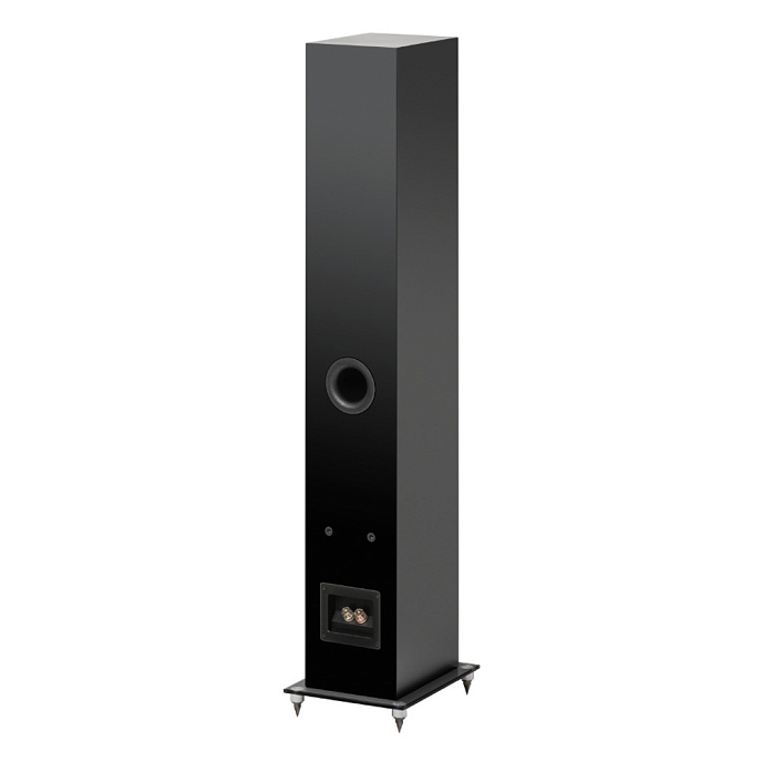 Floorstanding Speakers Pro-Ject Speaker Box 10 E Carbon Satin Black - img.1