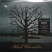 Vinyl Record Biffy Clyro - Black Chandelier / Biblical LP - img.2