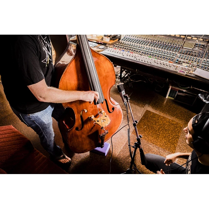 Microphone for streaming and gaming APOGEE MiC Plus USB - img.13