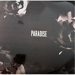 Vinyl Record Lana Del Rey - Paradise - Explicit LP