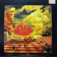 Vinyl Record Dream Theater – Systematic Chaos (Clear) - 2LP