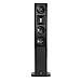 Floorstanding Speakers Borresen X3 Black Piano - img.1