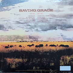 Vinyl Record Robert Plant With Suzi Dian - Saving Grace LP