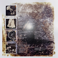 Vinyl Record Pixies - Doolittle LP