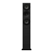Floorstanding Speakers Amphion Argon7LS Black - img.1