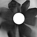 Vinyl Record Ariana Grande - Petal (Opaque Gray (Gray Skies), Alternate Cover) LP - img.8