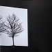 Vinyl Record AFI - Decemberunderground LP - img.2