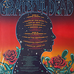 Vinyl Record Grateful Dead - Gratest Hits (Orange) LP