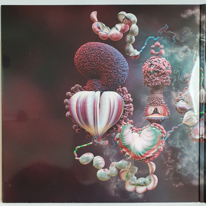 Vinyl Record Bjork – Fossora (Turquoise 2023 (2nd pressing)) 2LP - img.3