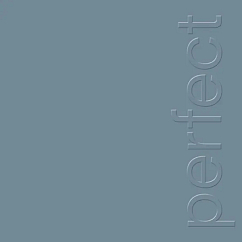 Vinyl Record New Order - The Perfect Kiss LP