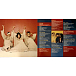 Vinyl Record TLC - CrazySexyCool - 2LP - img.1