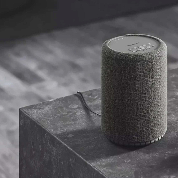 Portable speaker Audio Pro A10 MKII W Dark Grey - img.10