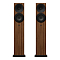 Amphion Argon3LX Walnut