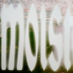 Vinyl Record Wet Leg - Moisturizer LP