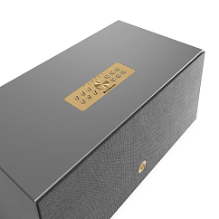 Audio Pro C20 W Grey