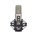 - img.0 Microphone RODE NT2000 - img.0