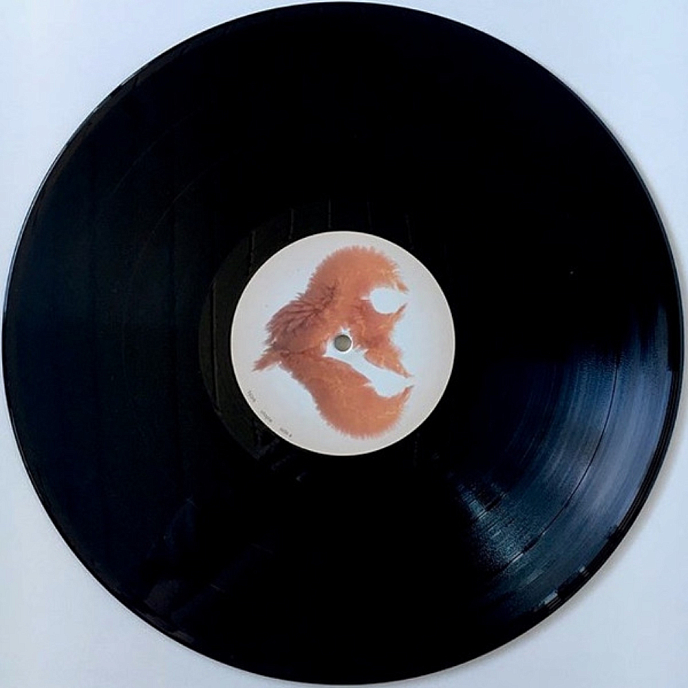 Vinyl Record Bjork - Utopia - 2LP - img.10