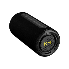 Portable speaker Loewe We. HEAR Pro Black