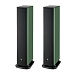 Floorstanding Speakers Focal Aria Evo X N3 Green Moss - img.1