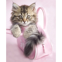 Souvenir Pyramid Rachael Hale Minnie (Maxi Poster) 61x91,5cm