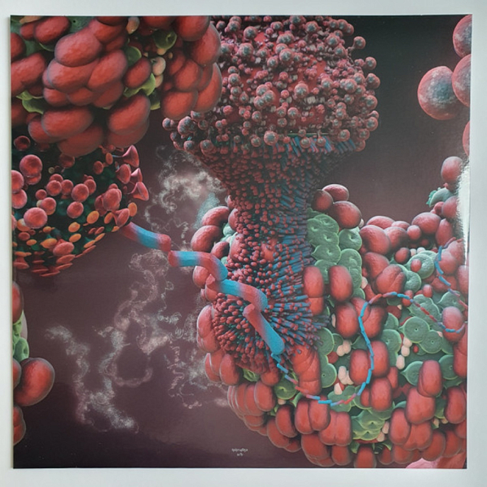 Vinyl Record Bjork – Fossora (Turquoise 2023 (2nd pressing)) 2LP - img.6