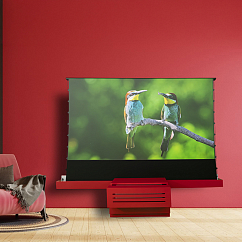 TV Leica Cine 1 + Screen 120 Solo MP